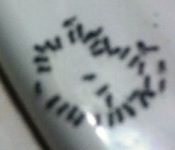 This is the ants on the bathroom sink rim 3 days before they left April 1, 2021